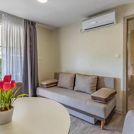 Mobile Luxury Premium-1 By Interhome Tatil Evi Pula